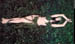 f19_rm11